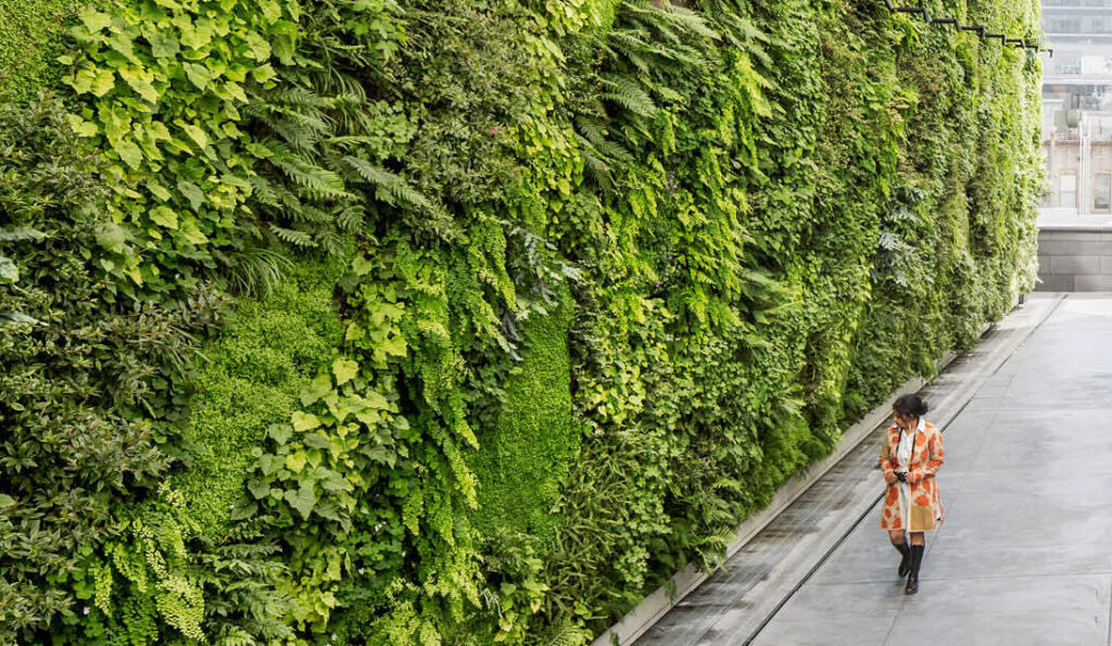 Transforming Urban Spaces with a Vertical Green Wall System The Future of Sustainable Design