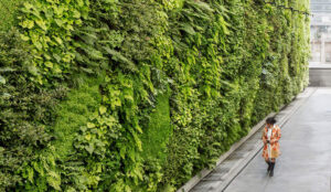 Transforming Urban Spaces with a Vertical Green Wall System The Future of Sustainable Design